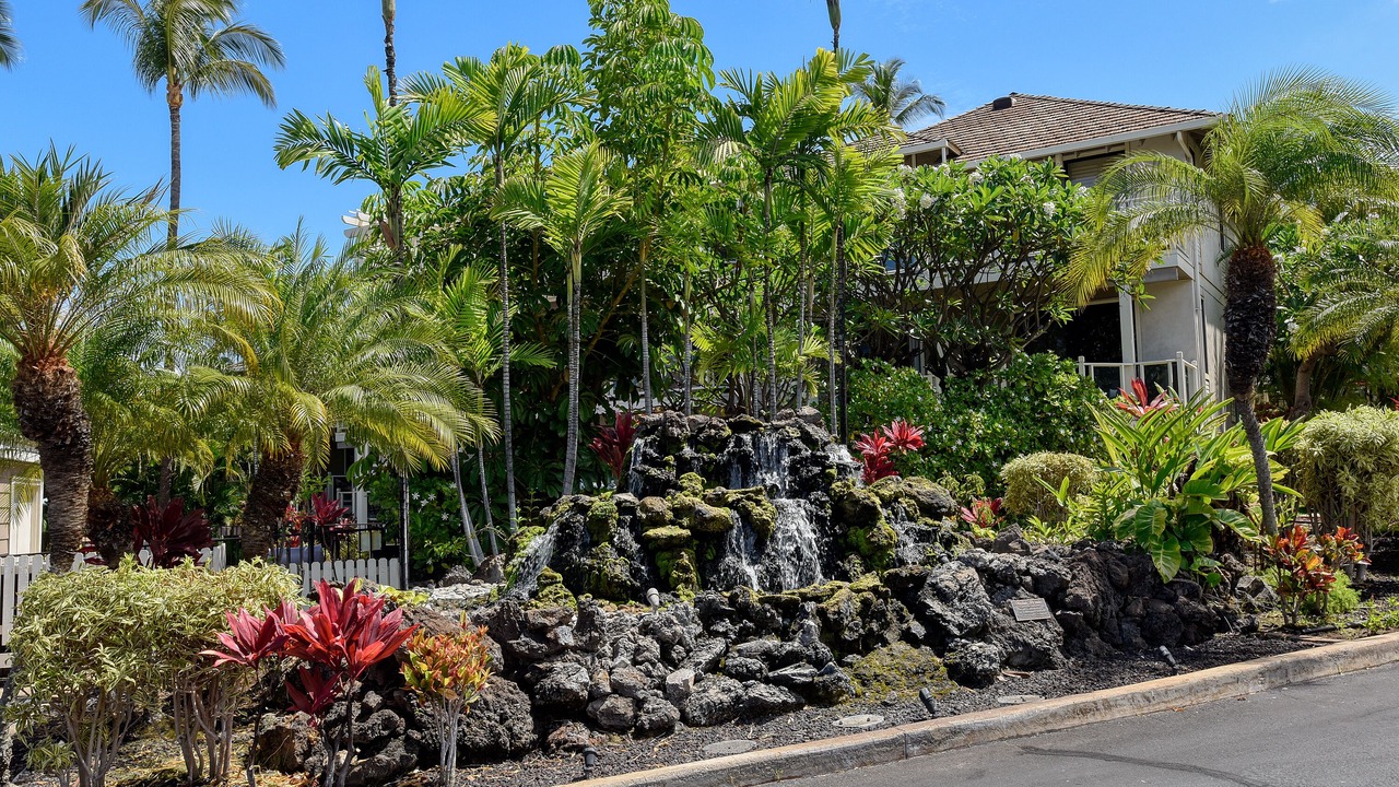 Photo of Outdoor in Wailea