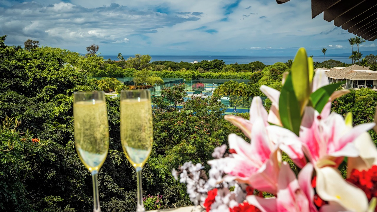 Photo of Outdoor in Wailea