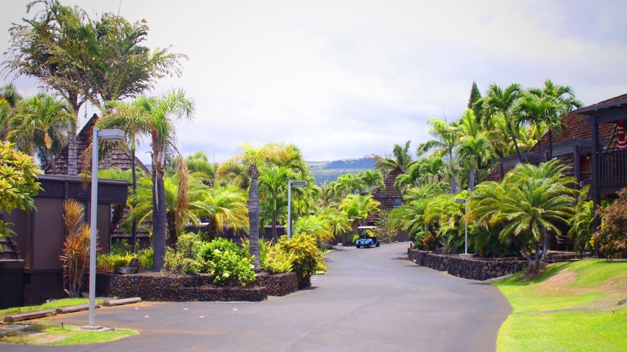 Photo of Outdoor in Punaluu