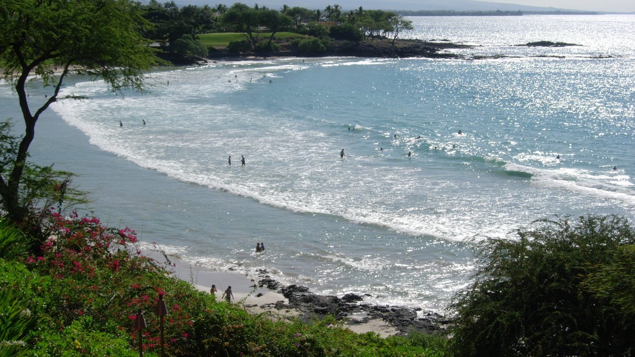 Photo of Others in Kamuela