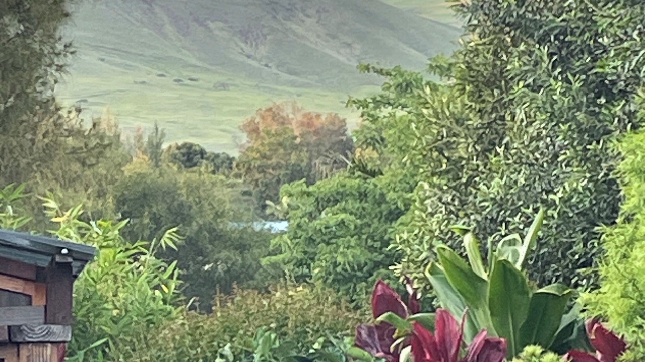 Photo of Others in Kamuela