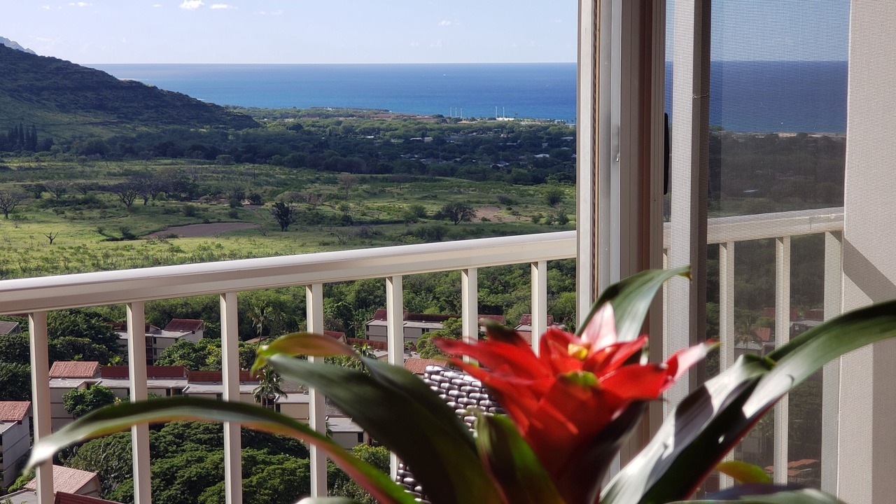 Photo of Others in Makaha