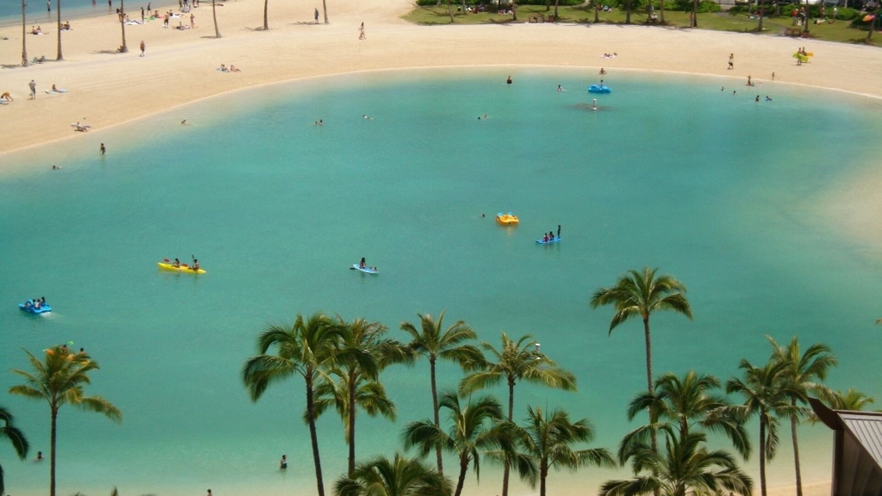Photo of Others in Waikiki