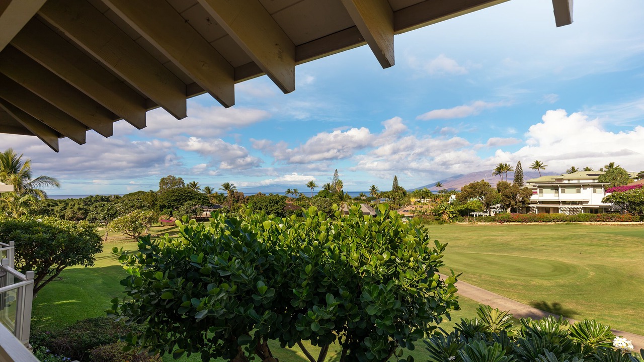 Photo of Outdoor in Wailea