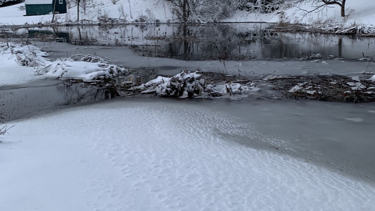 Photo of Outdoor in Kingfield