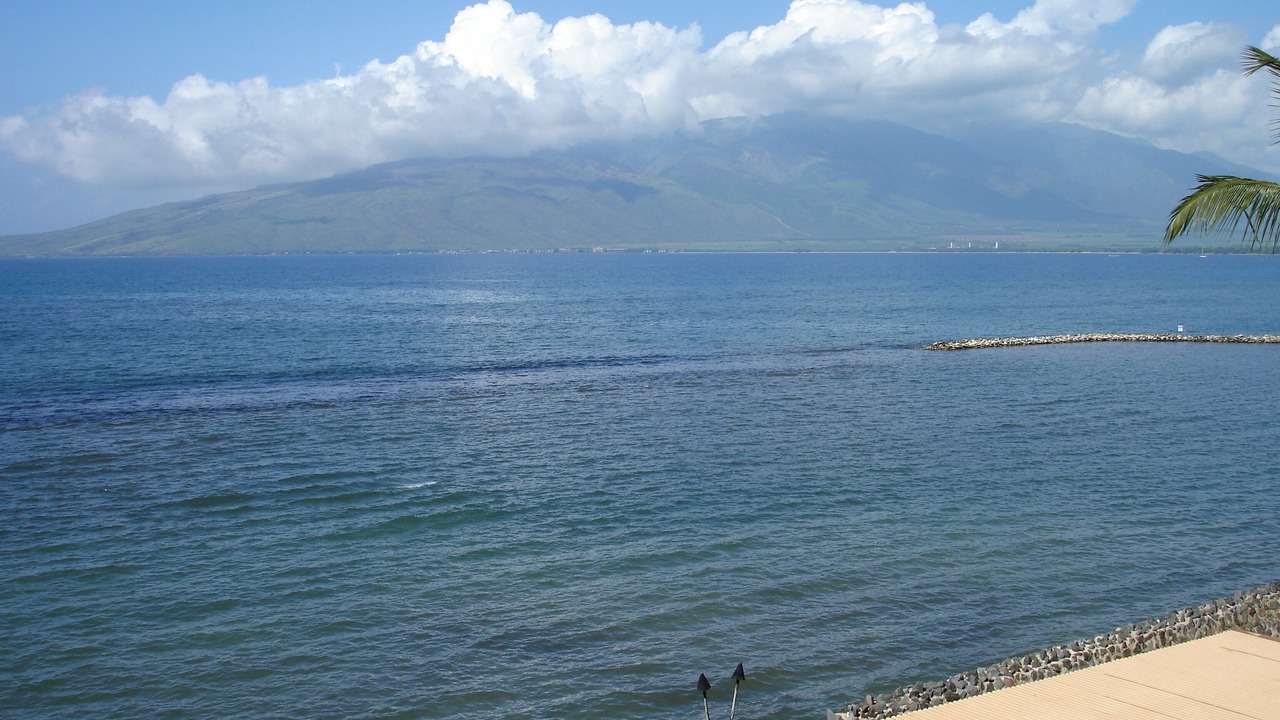 Photo of Others in Kihei