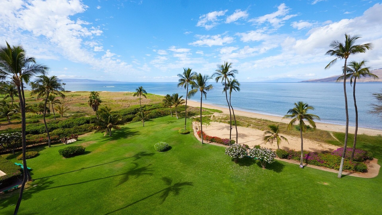 Photo of Outdoor in Kihei