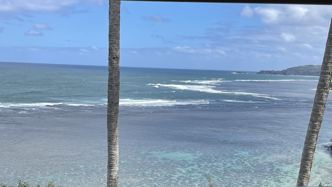 Photo of Others in Princeville