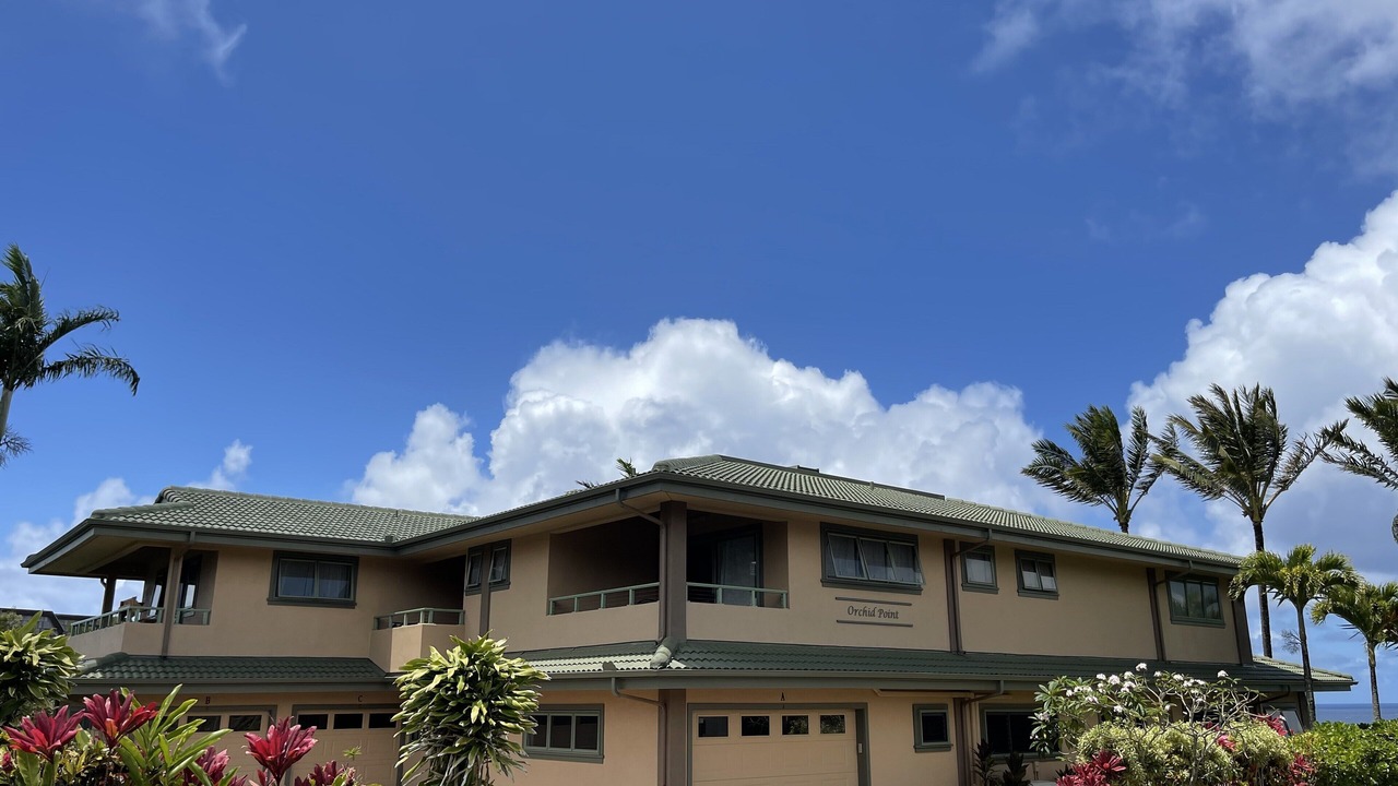 Photo of Others in Princeville