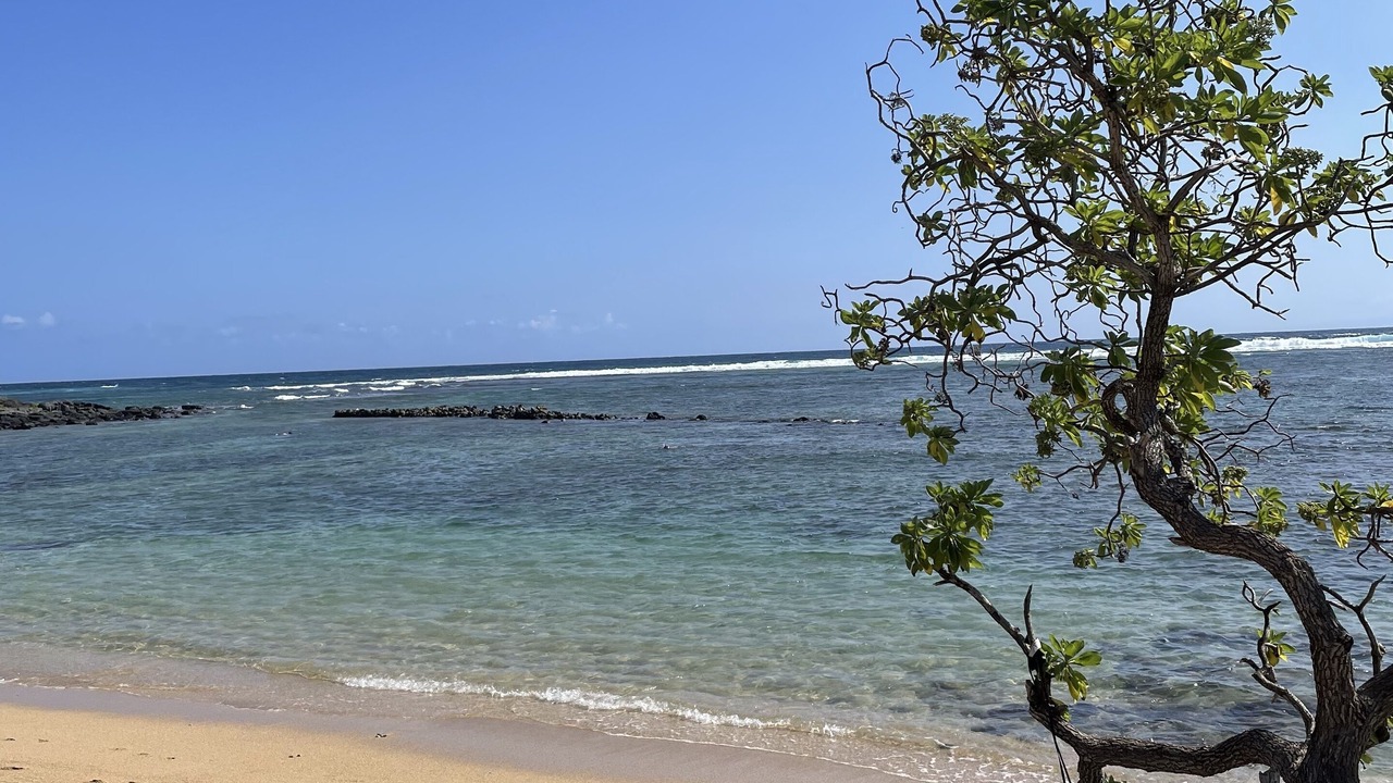 Photo of Others in Kaunakakai