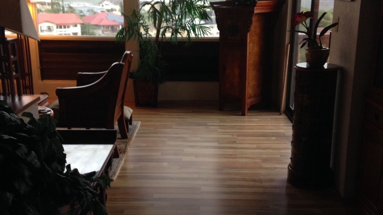 Photo of Livingroom in Hawaii Kai