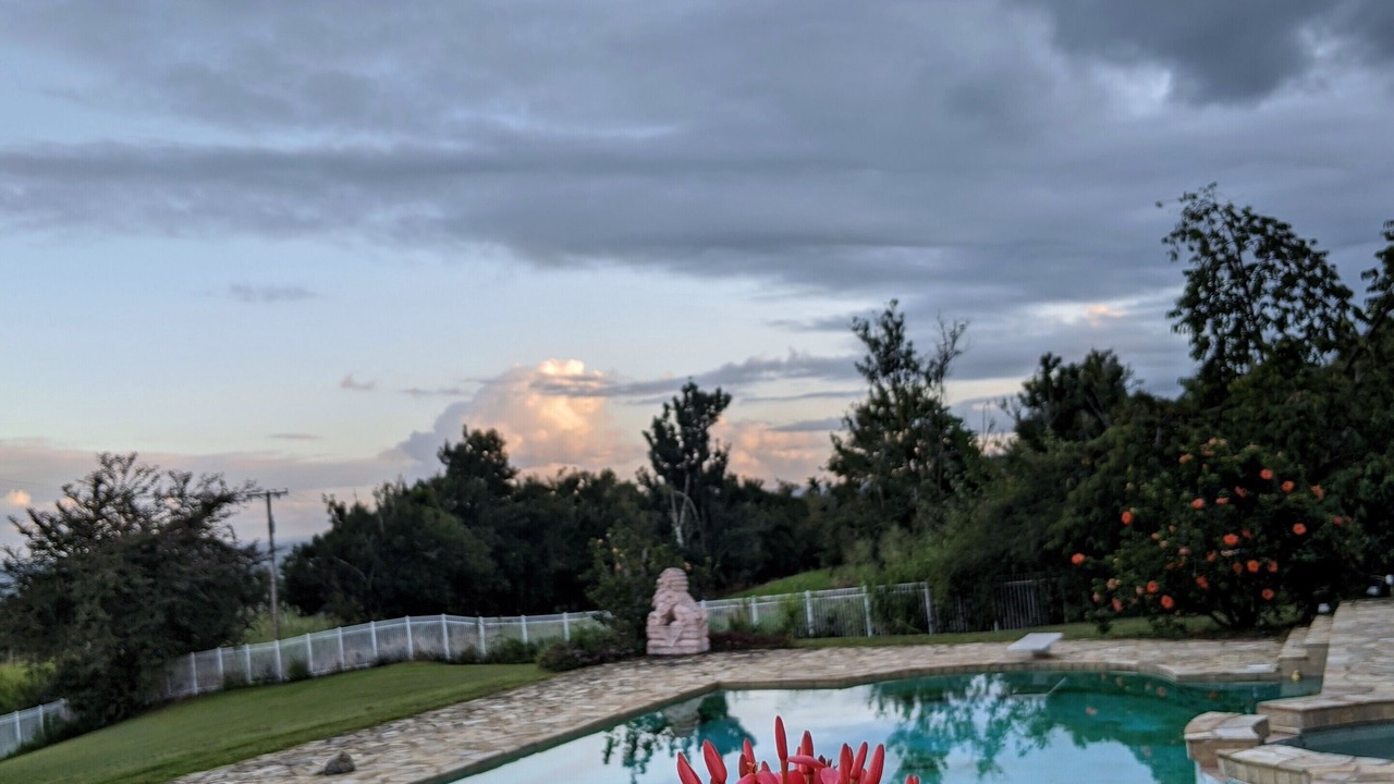 Photo of Outdoor in Wainaku