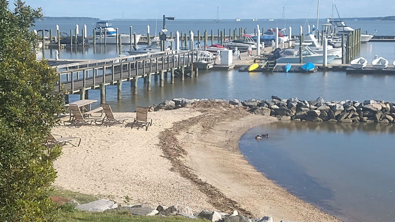 Photo of Others in Kingsmill
