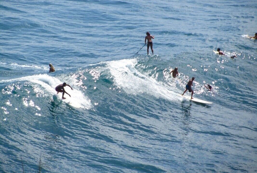 Photo of Others in Hilo