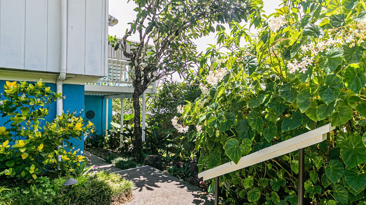 Photo of Others in Hilo