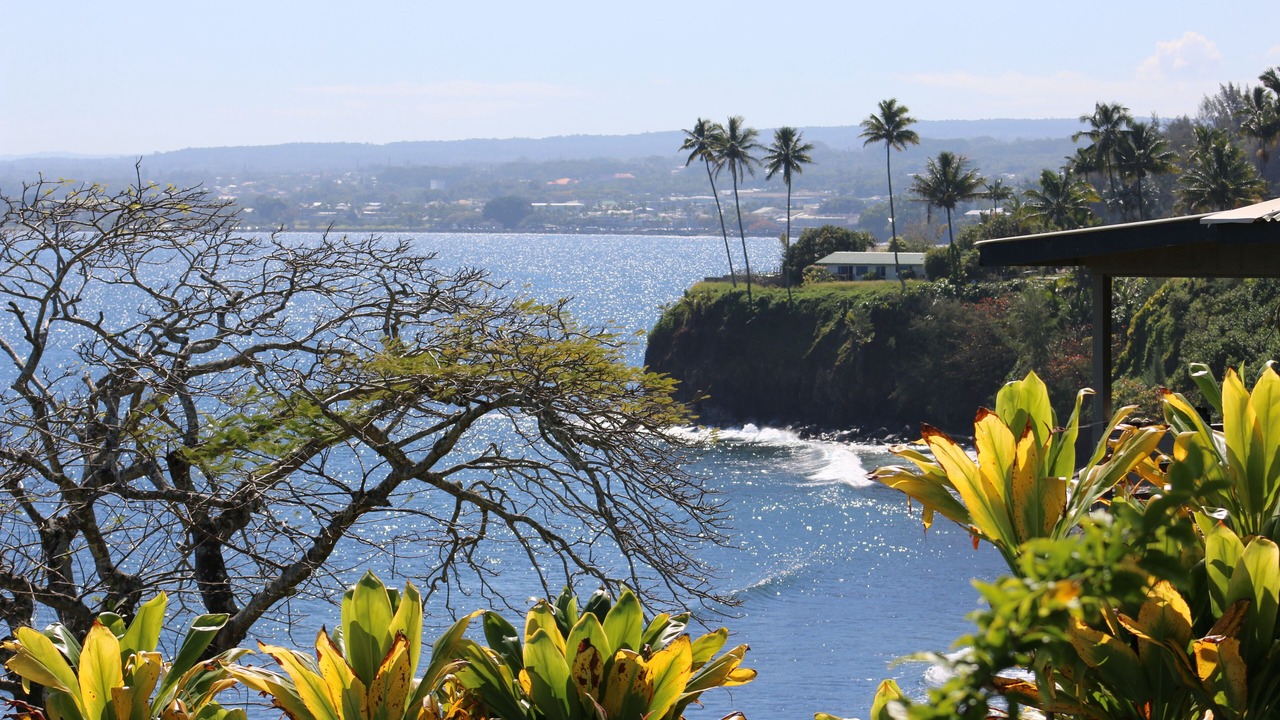 Photo of Others in Hilo