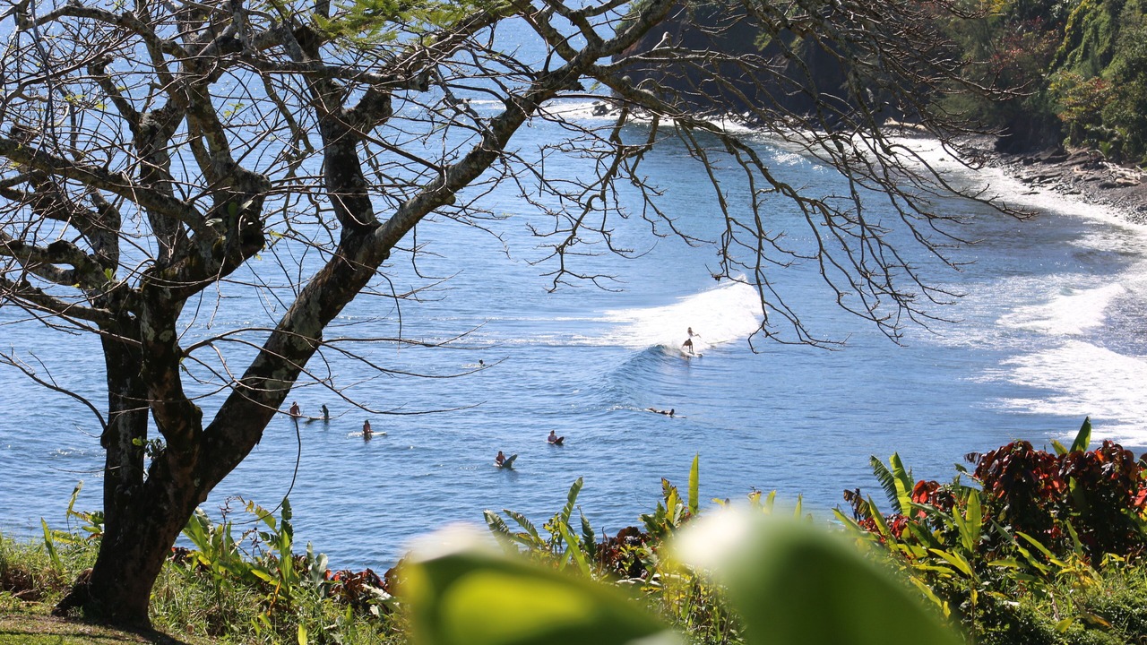 Photo of Outdoor in Hilo