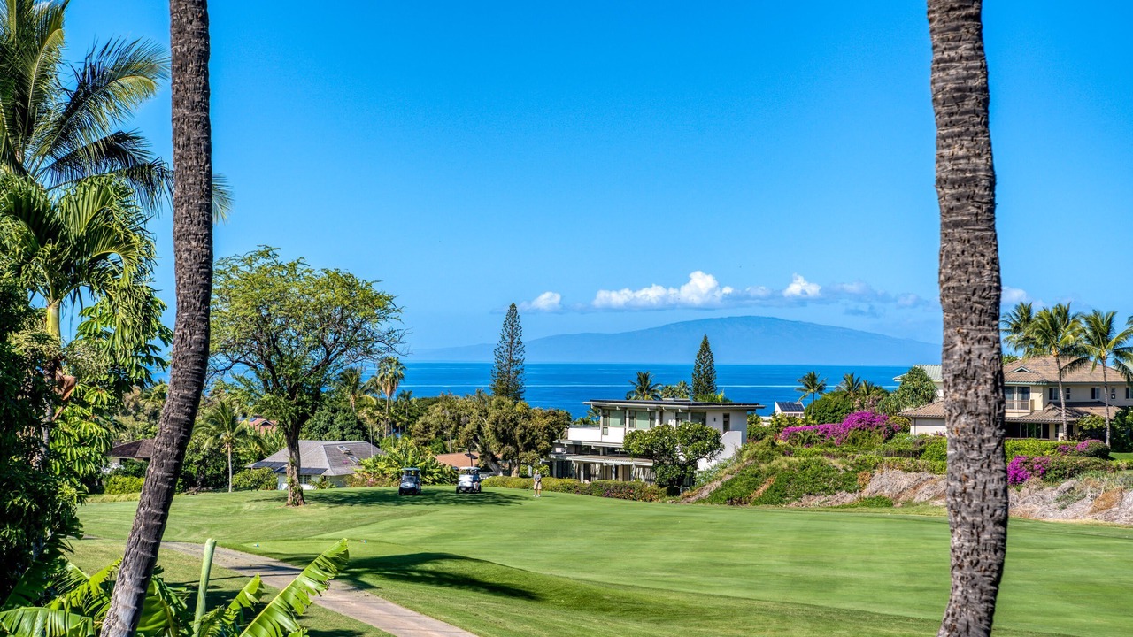 Photo of Others in Wailea