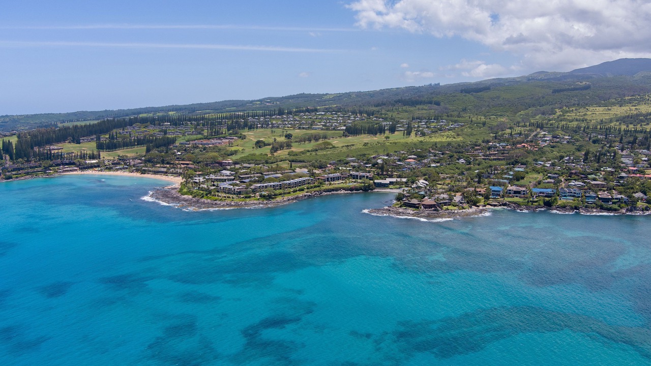 Photo of Outdoor in Napili