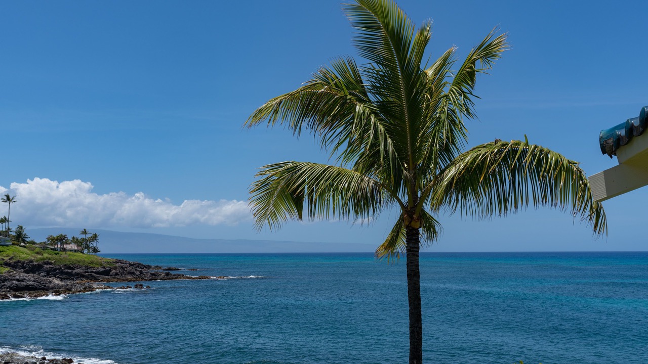 Photo of Others in Napili