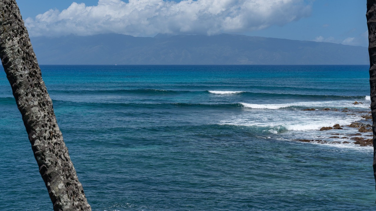 Photo of Others in Napili