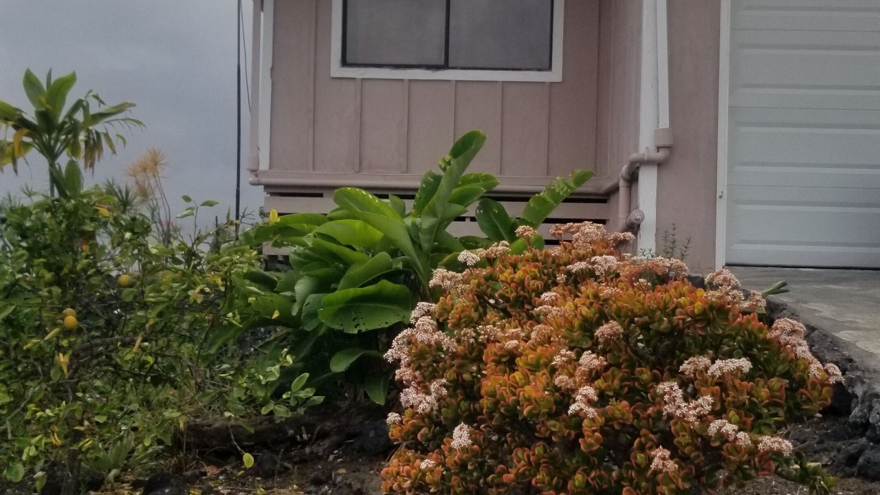 Photo of Others in Ocean View