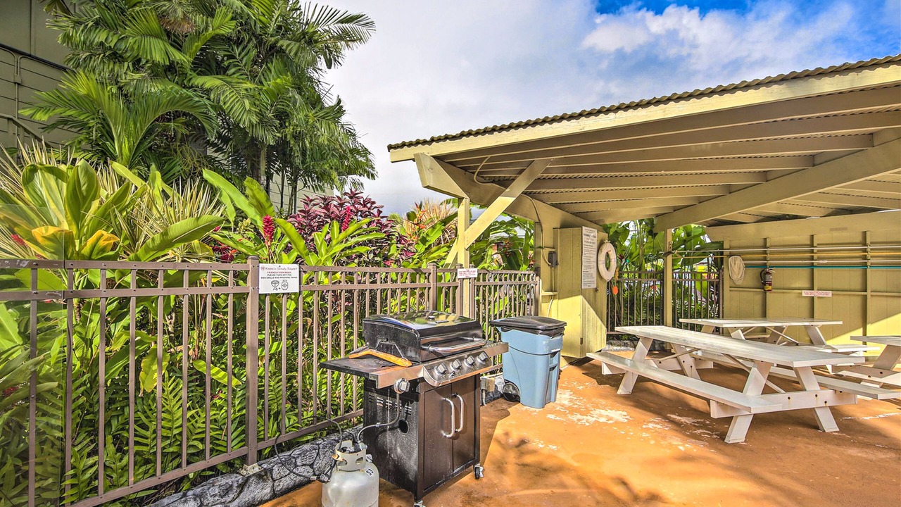 Photo of Outdoor in Wailua