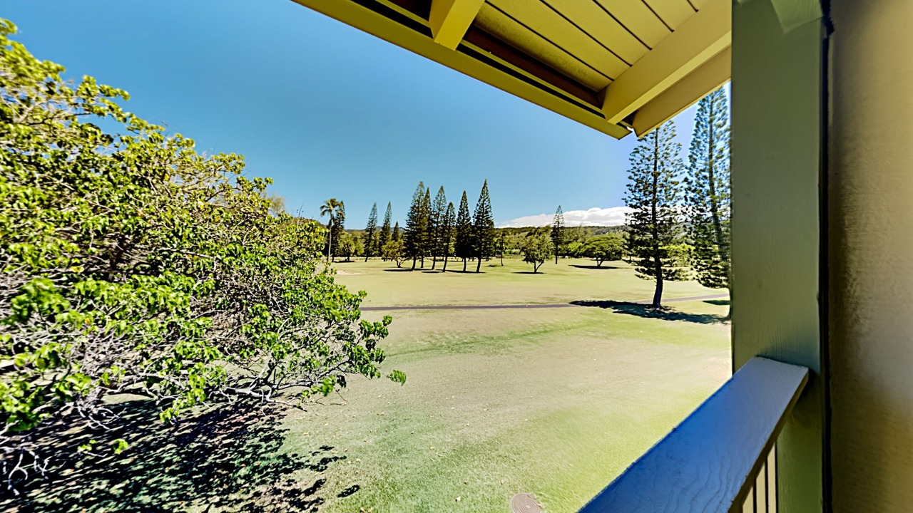 Photo of Outdoor in Kahuku