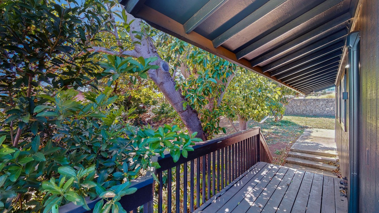 Photo of Outdoor in Kihei