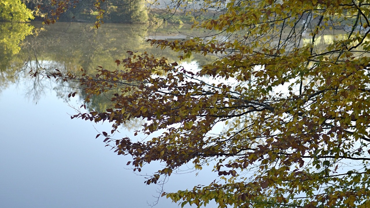 Photo of Outdoor in Virginville