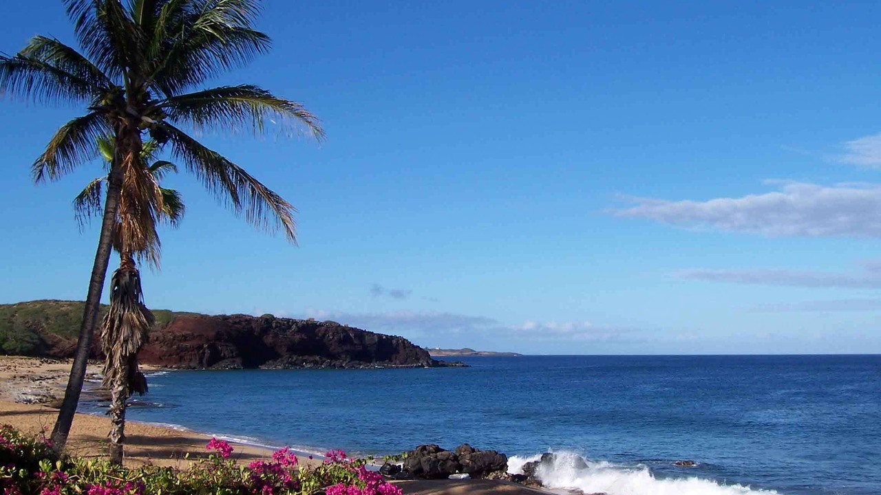 Photo of Others in Maunaloa