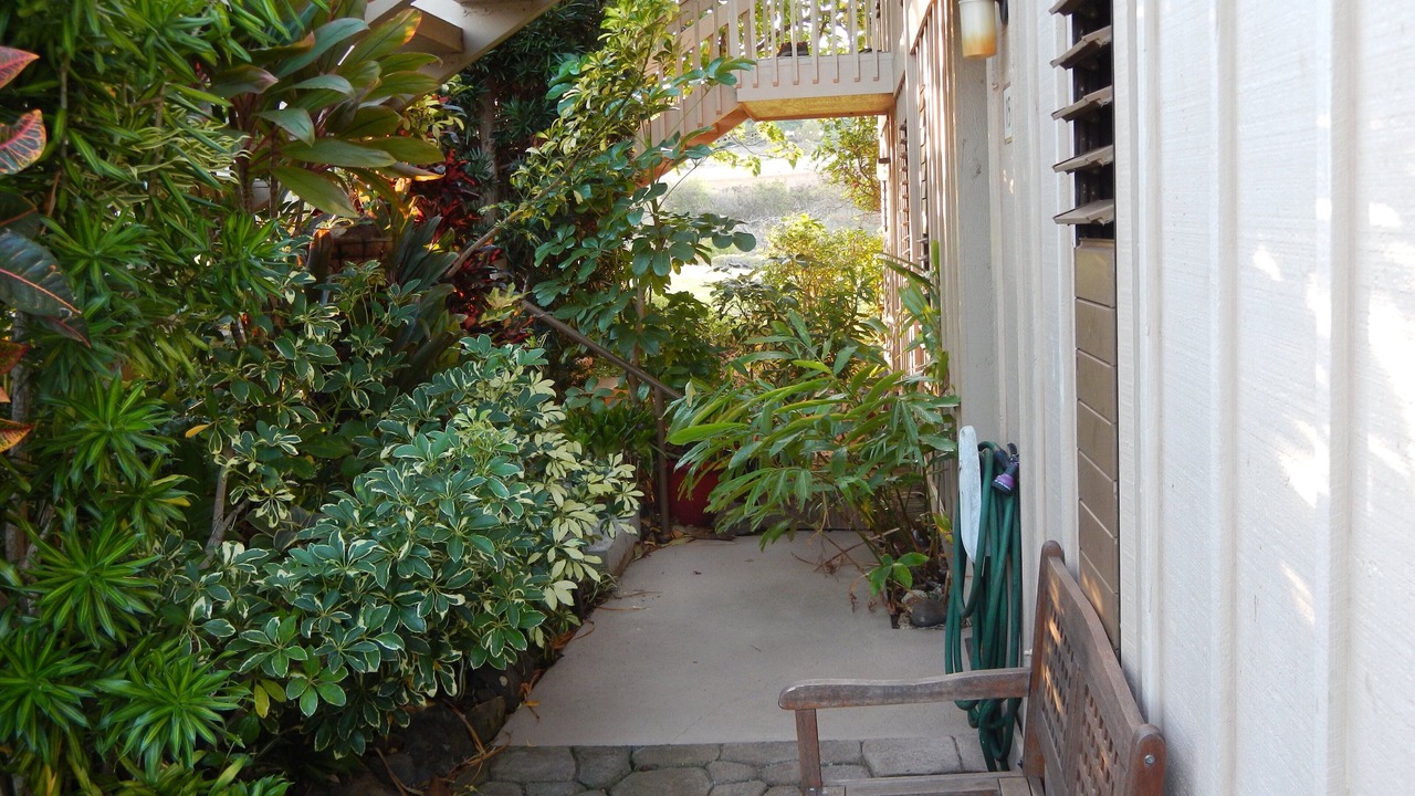Photo of Outdoor in Maunaloa