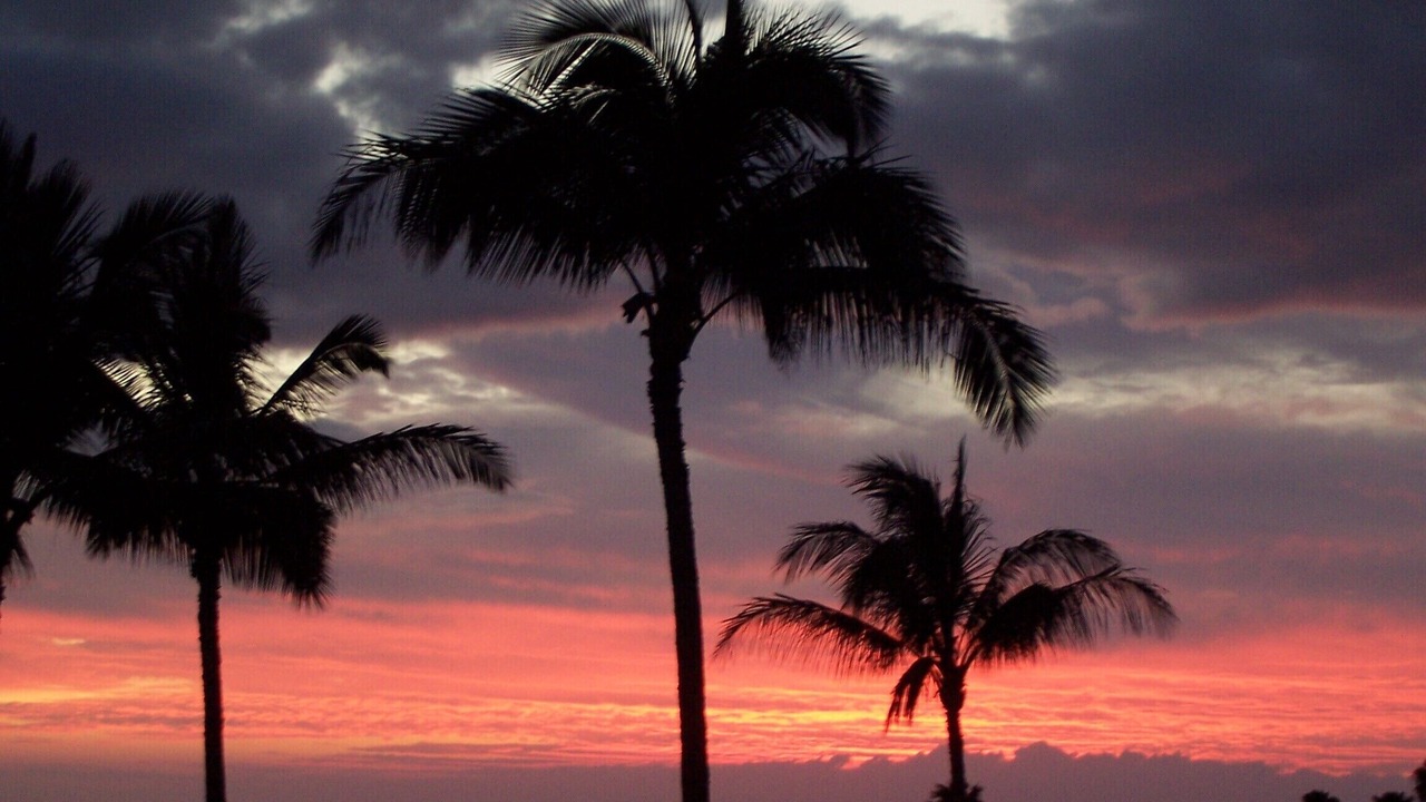 Photo of Others in Maunaloa