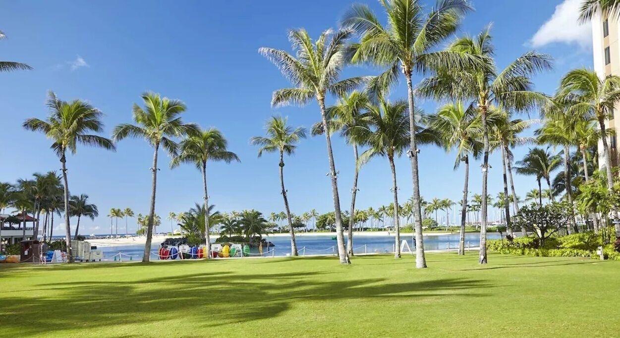 Photo of Others in Waikiki