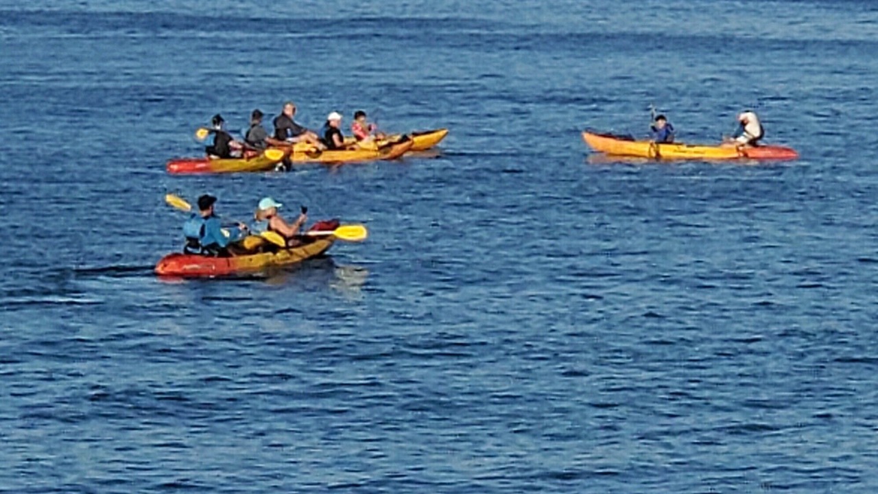 Photo of Others in Kihei
