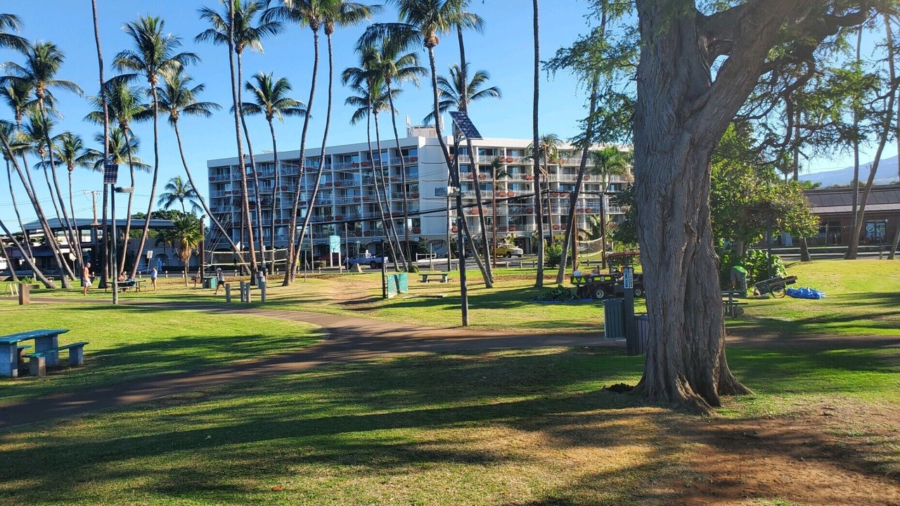 Photo of Outdoor in Kihei