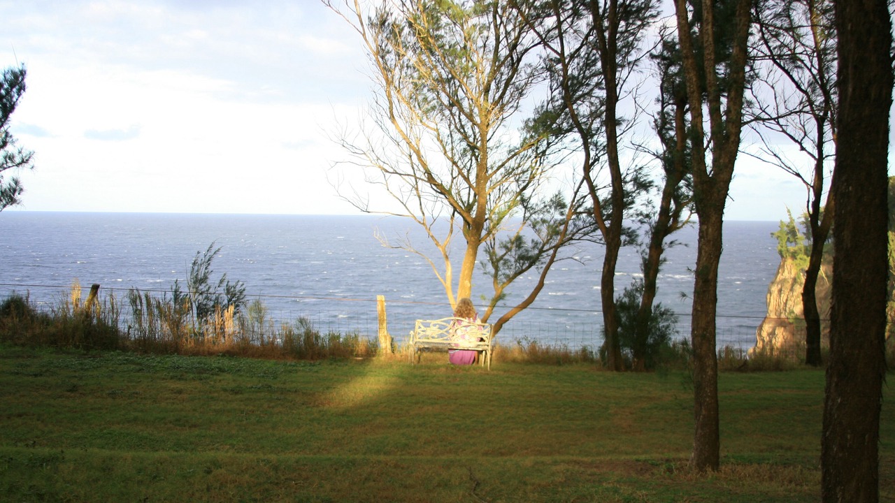 Photo of Others in Kapaau