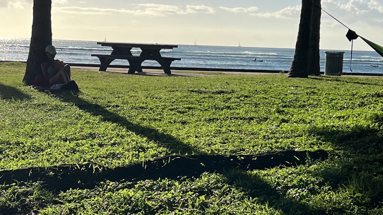 Photo of Others in Diamond Head - Kapahulu - St. Louis