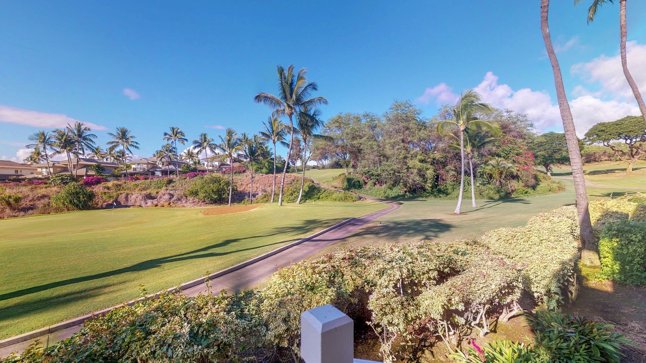 Photo of Outdoor in Wailea