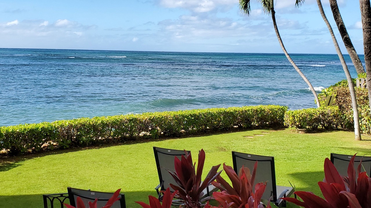 Photo of Others in Diamond Head - Kapahulu - St. Louis