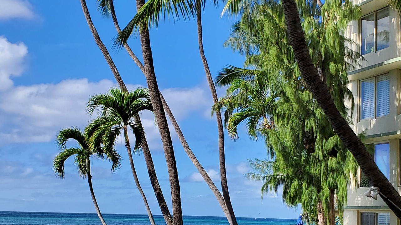 Photo of Others in Diamond Head - Kapahulu - St. Louis