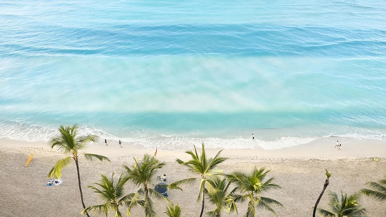 Photo of Others in Waikiki