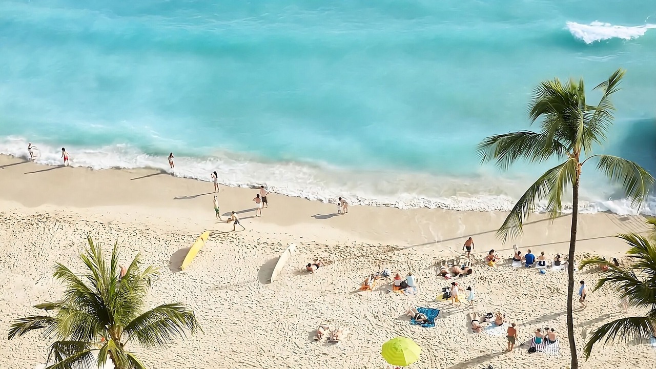 Photo of Others in Waikiki