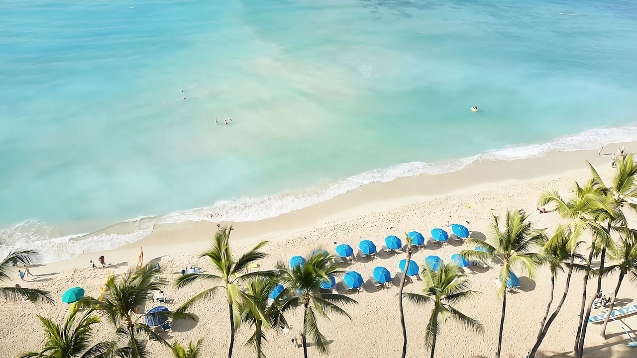 Photo of Others in Waikiki