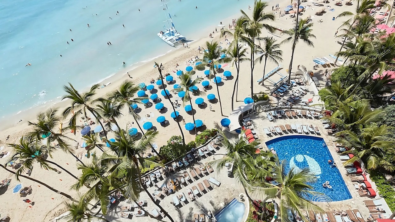 Photo of Others in Waikiki