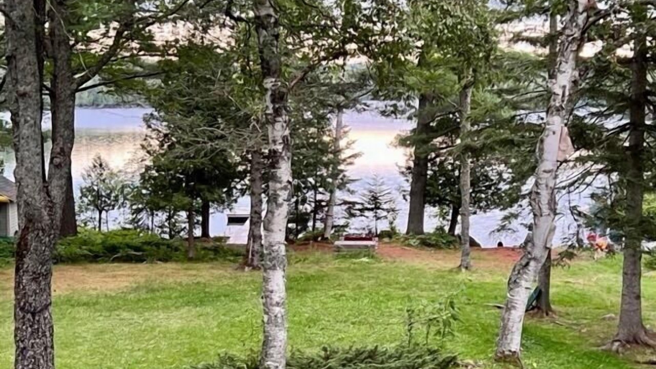 Photo of Others in Rangeley