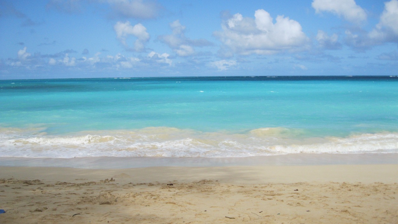 Photo of Others in Diamond Head - Kapahulu - St. Louis