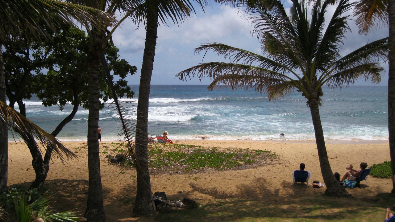 Photo of Others in Diamond Head - Kapahulu - St. Louis
