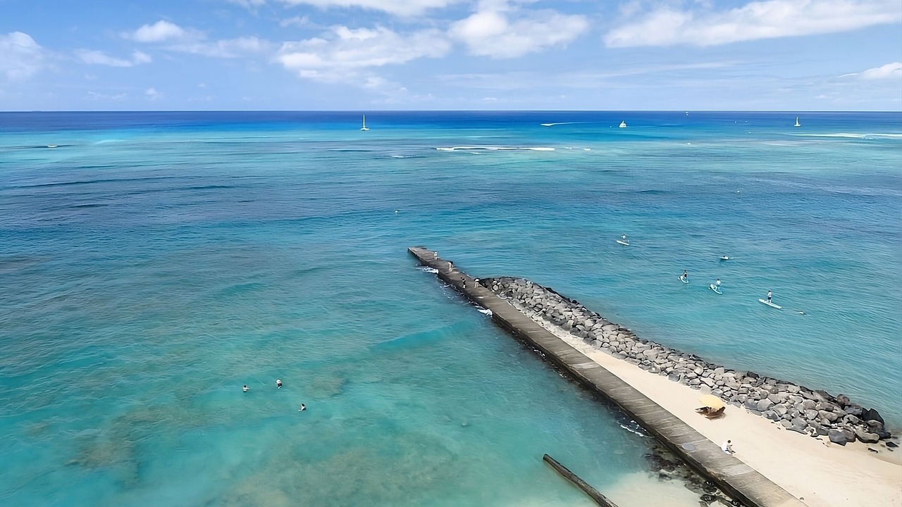 Photo of Others in Waikiki
