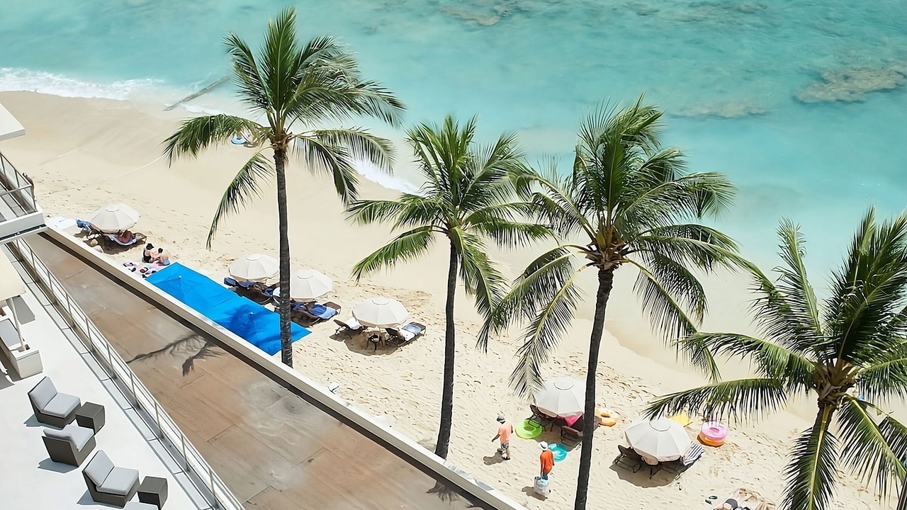 Photo of Others in Waikiki